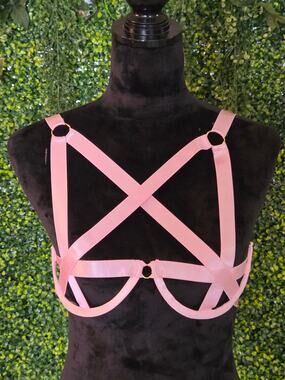 Pink cage bra and garter set